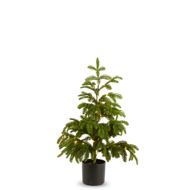 Raz 36" or 46" Real Feel Potted Lighted Norfolk Pine Christmas Tree -2