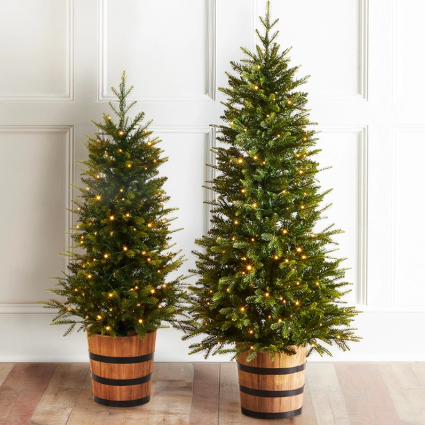 Raz 4' or 5' Pre-Lit Norway Spruce Christmas Tree in Barrel Pot