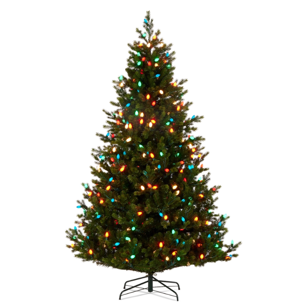 Raz 7.5' or 9' Pre-Lit Fraser Fir with C7 Bulbs Christmas Tree -3