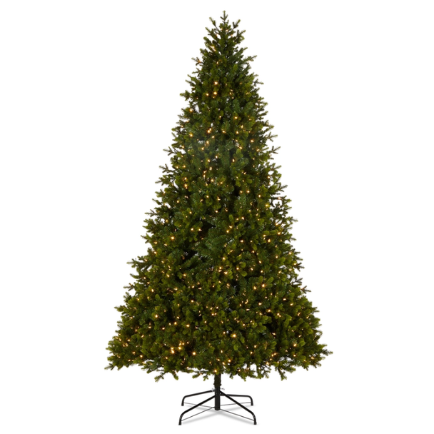 Raz 7.5' or 9' Pre-Lit Douglas Fir Christmas Tree -3