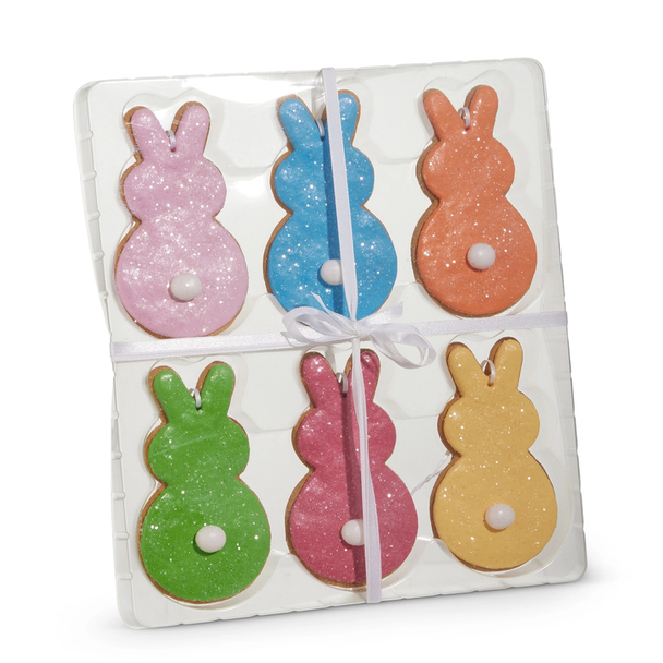 Raz 4.5" Box of Bunny Gingerbread Cookie Easter Ornaments 4616021