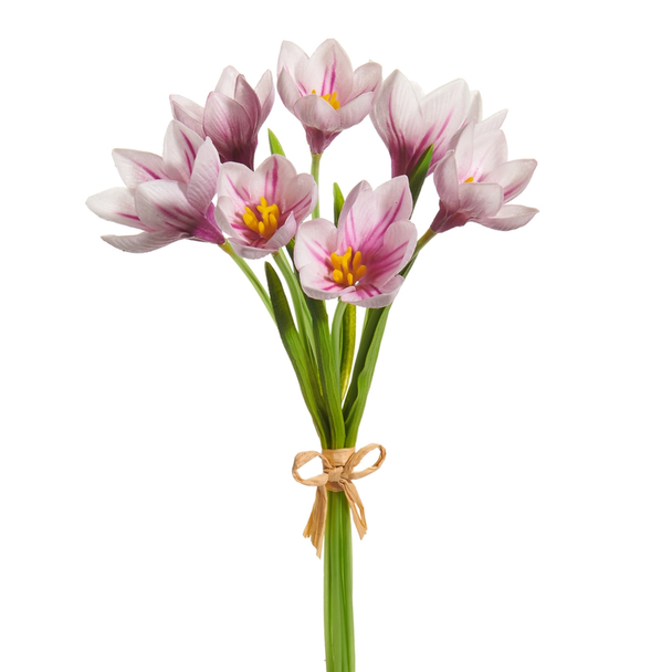 Raz 12" Real Touch Purple Crocus Bundle F4602031