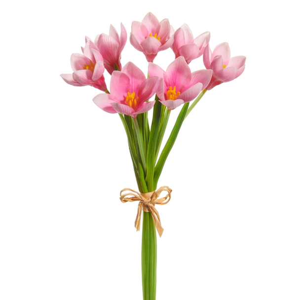 Raz 12.5" Real Touch Pink Crocus Bundle F4602032