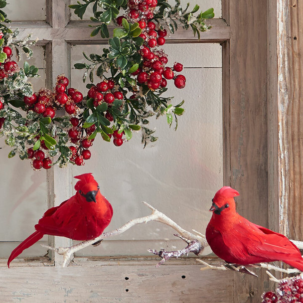 Ornement de Noël cardinal à clipser Raz 6,5" 3102594 -2