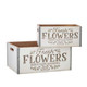 Raz 13,5" caixas de flores frescas de primavera 4211272 -2