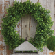 Raz 22" Boxwood Wreath W4221206