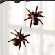 Raz Eric Cortina 4" Along Came A Spider Glass Halloween Ornament 4453115