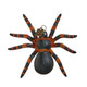 Raz eric cortina 4" datang dengan ornamen halloween kaca laba-laba 4453115 -3