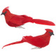 Raz 6.5" Clip-On Cardinal Christmas Ornament 3102594 -4