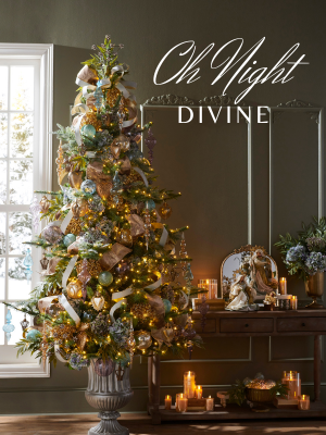 oh Night Divine