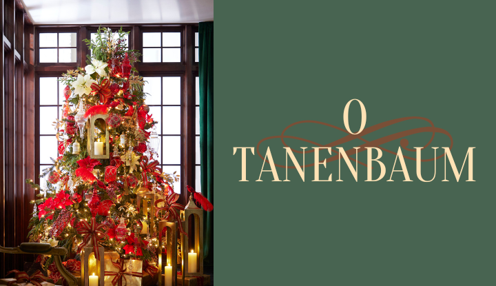 o-tanenbaum-pohon-tema-banner.png