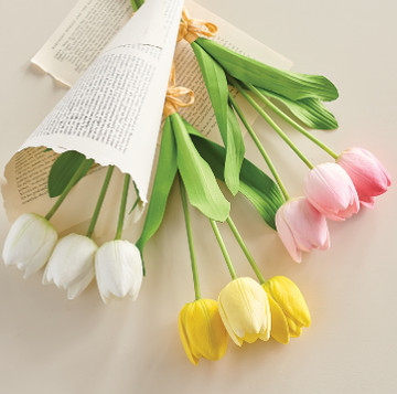 新品未使用　rosy_monster random tuck tulip OP F4202255__73305.1707835077.360