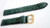 Genuine ALLIGATOR watch band Green color 19 x16mm Matte