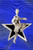Star Glory SILVER Muay Thai / Boxing pendant