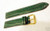 New Genuine ALLIGATOR watch band Green color 19 mm $165