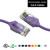 2 Foot CAT6 28AWG Slim Gigabit Ethernet Network Cable - Purple