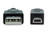 10 Foot USB 2.0 Type A Male to Mini B ( 5 Pin ) Male  - Black