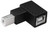 USB 2.0 Type B Up Angled Adapter