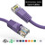 6 Foot 10Gbps Molded Cat 6 Ethernet Network Patch Cable - Purple