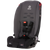 Radian® 3R® all-in-one convertible car seat [Gray Slate]