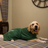 Golden Retriever wearing one of Dogrobes UK’s personalised dog coats in green. Green dog robe is embroidered Murphy.