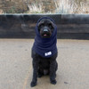 Black Labradoodle with his tongue out wearing a navy dog Snood. Made in the UK for drying his head, neck and ears.