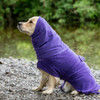 Wet Golden Retriever wearing a purple dog Snood and matching dog drying coat by Dogrobes UK after a swim in the river.