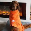 A Setter staying warm and drying off in front of the fire wearing an Orange Snood and an orange dog dressing gown.