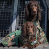 camouflage dog robes with harness access on two boykin spaniels