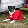 A Collie lying down in a red dog robe. Shoulder inserts offer better mobility, giving the dog lots of room to stretch out.