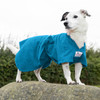 Jack Russell standing on a rock, wearing a Teal Dogrobe MAX to dry, warm and comfort them.