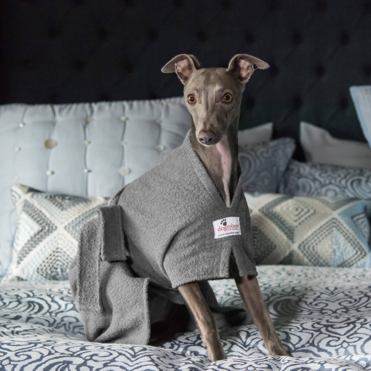 Grey Dog Robes Grey Dog Drying Towel Robe Dogrobes