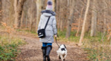 How walking your dog is good for their overall health