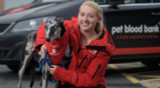 Dogrobes announces Pet Blood Bank UK as its Charity of the Year