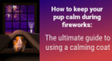 How to Keep Your Pup Calm During Fireworks: The Ultimate Guide to Using a Calming Coat