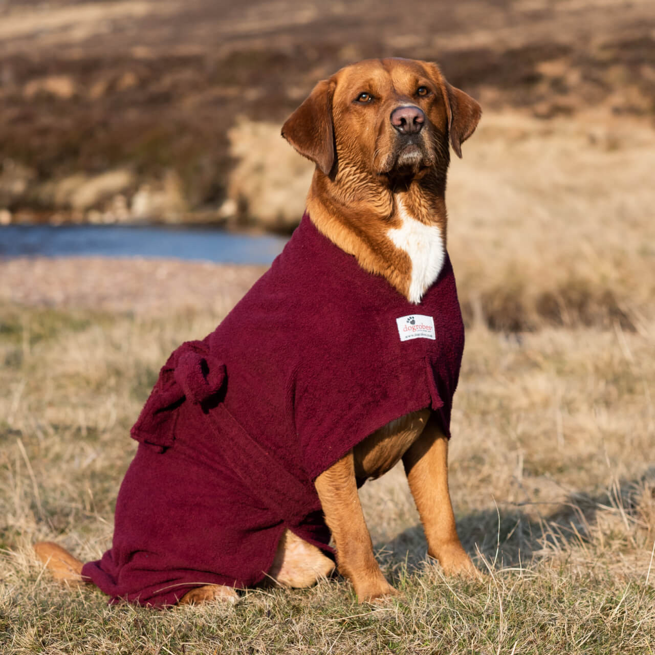 Burgundy Dog Robes | Burgundy Dog Drying Towel Robe | Dogrobes