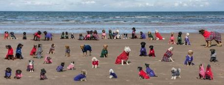 Our BIG photoshoot at the beach