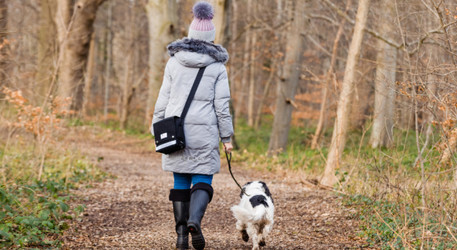 How walking your dog is good for their overall health