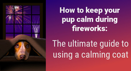 How to Keep Your Pup Calm During Fireworks: The Ultimate Guide to Using a Calming Coat