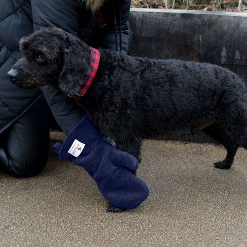 Labradoodle being dried by his owner wearing a pair of navy Dogrobes UK dog drying mitts to dry his legs and paws.