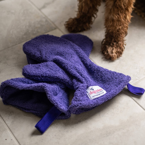 Purple Gauntlets, dog drying mitts lying on the floor next to dog’s paws. The dog is about to have their legs and paws dried.