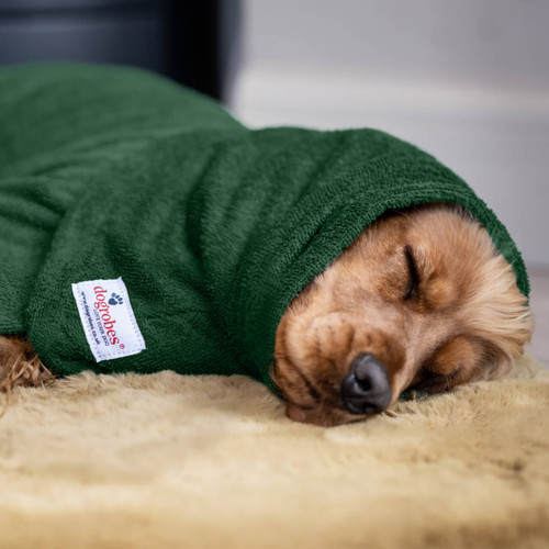 Sleeping Cocker Spaniel wearing a green dog Snood resting his head on a mustard-coloured rug. Dog Snood by Dogrobes UK.