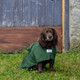 Cocker Spaniel sitting on grass in castle grounds wearing a green dog dressing gown. Made by Dogrobes UK.
