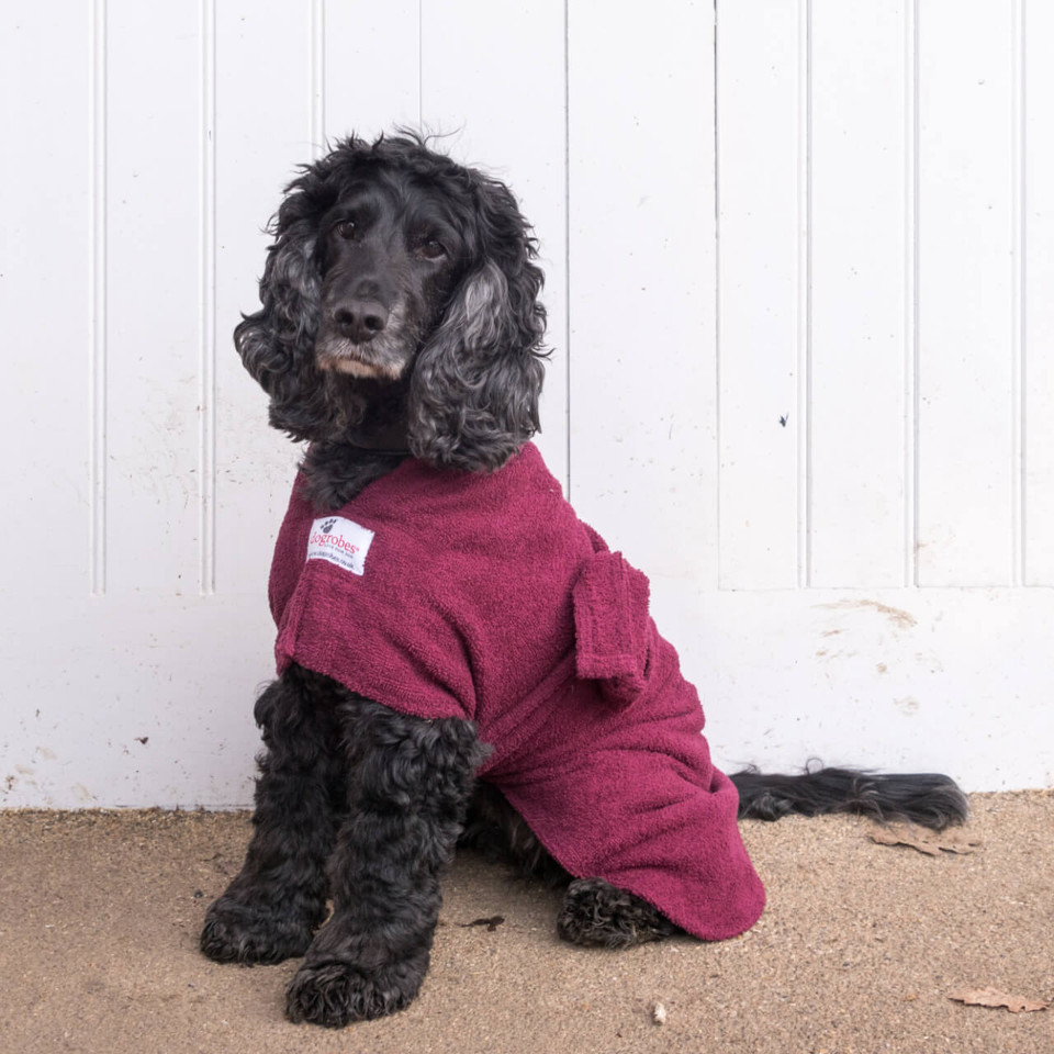 Burgundy Dog Robes Burgundy Dog Drying Towel Robe Dogrobes