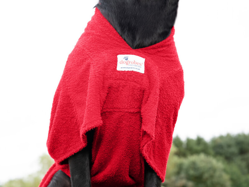 Close-up of red Dogrobes MAX showing chest plate design for extra coverage and comfort on black  Labrador