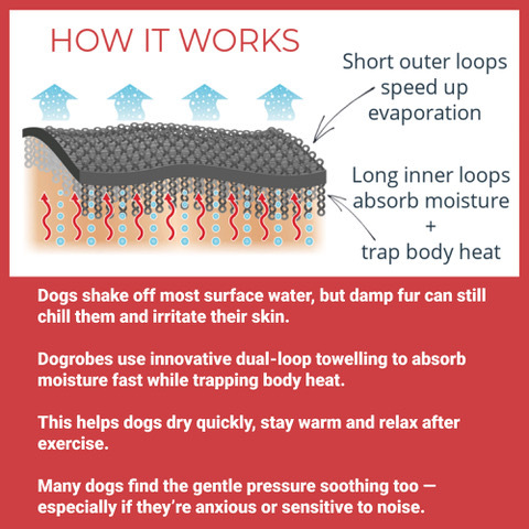 diagram showing how Dogrobes dual-loop towelling dries dogs faster and keeps them warm