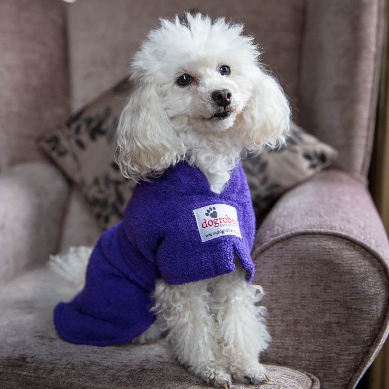 Purple Original Dogrobe Purple Dog Drying Towel Robe Dogrobes