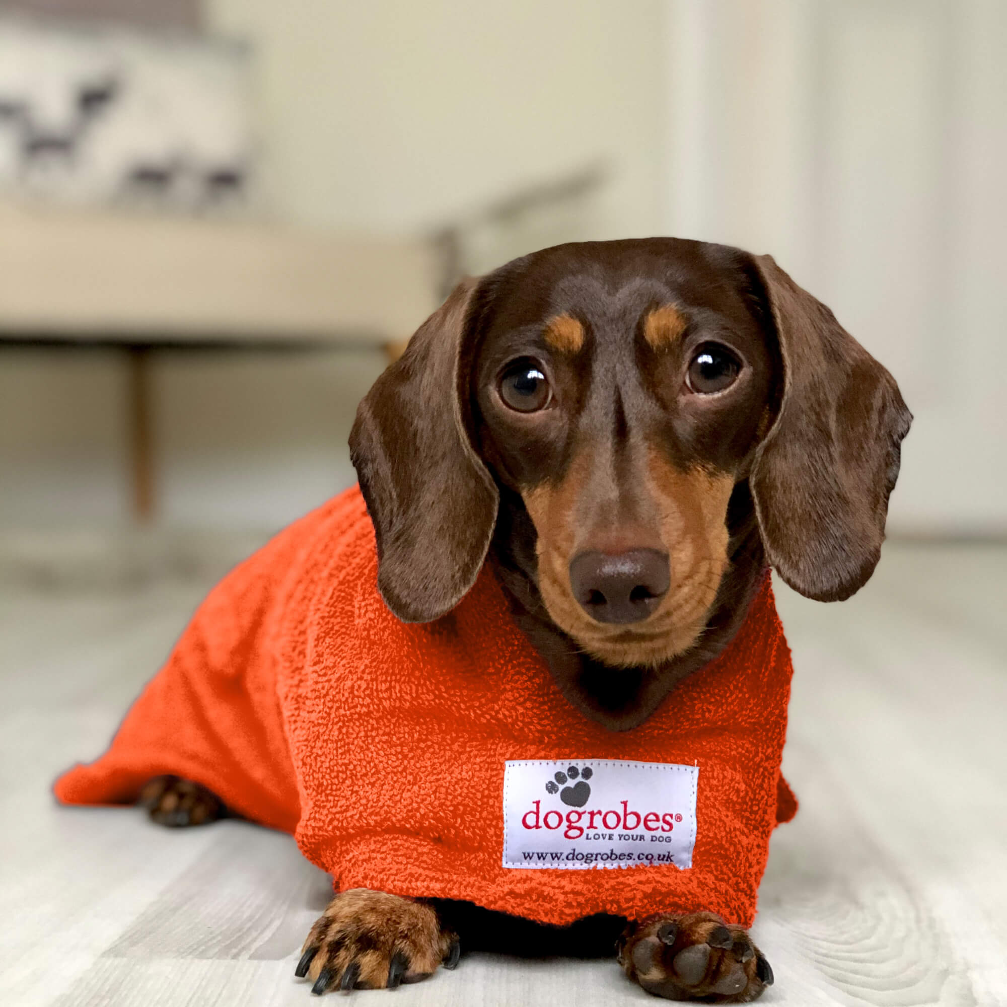 Orange Original Dogrobe | Orange Dog Drying Towel Robe | Dogrobes