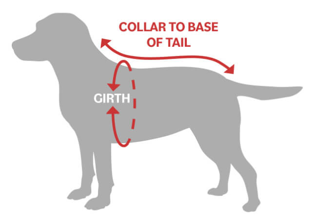 diagram-showing-measurements-needed-for-dogrobes-drying-coat.jpg