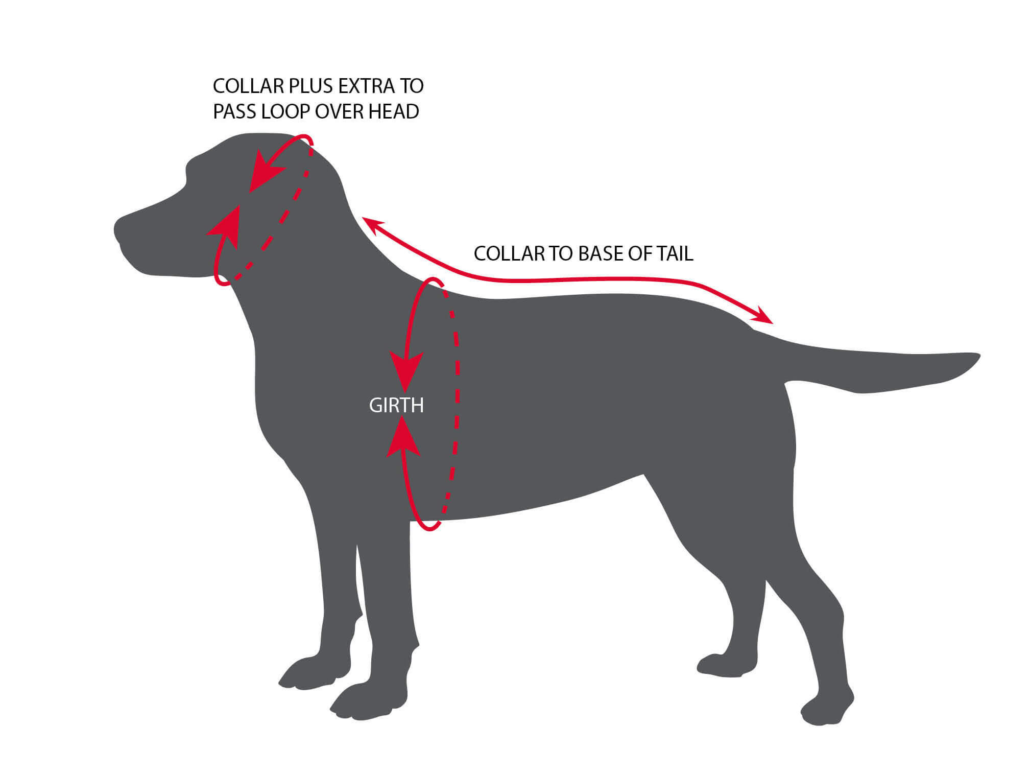 dogrobes-made-to-measure-dogrobe-measurement-guide-illustration Silhouette diagram showing where to measure a dog for a Made to Measure Dogrobe: collar to base of tail, girth, and collar plus extra to pass loop over head